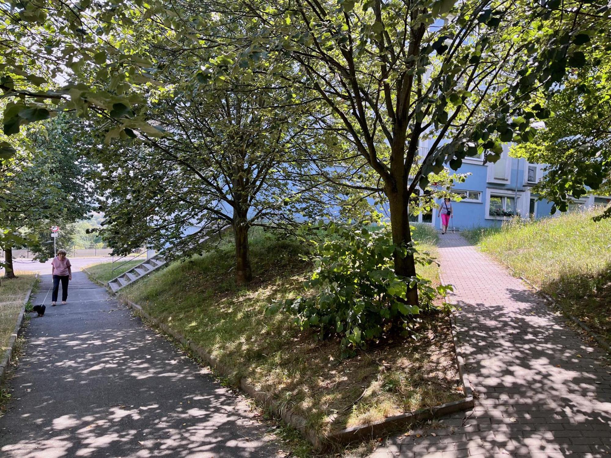 Apartmany Nad Zoo 플젠 외부 사진